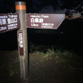 広河原峠到着。うっすらと明るくなってきてる。
小屋を出発して5分後…ヘッテンの明かりが切れた‼️😱気をつけて使ってたのに何で充電切れる？なんて考えると怖い😨から無心で携帯の電気💡着けて充電しながら歩いた。
今だから言葉にできるけど…これでもか❗️ってくらい怖いです😭

昨夜は心細くてこの広河原峠から降りてしまおうかとも考えた。
でもいつも遠くから見ていたオベリスクの地を踏みたい🥹
もう迷いは無かった。