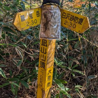 大凪山山頂ここで２０７９メートルあります。ここでの眺望はありません。ここまでくればあとここから600メートルの山登ると思えば気楽になります。😄