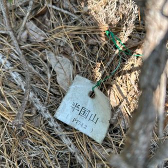地面に落ちてた古い山頂標識（ミニ