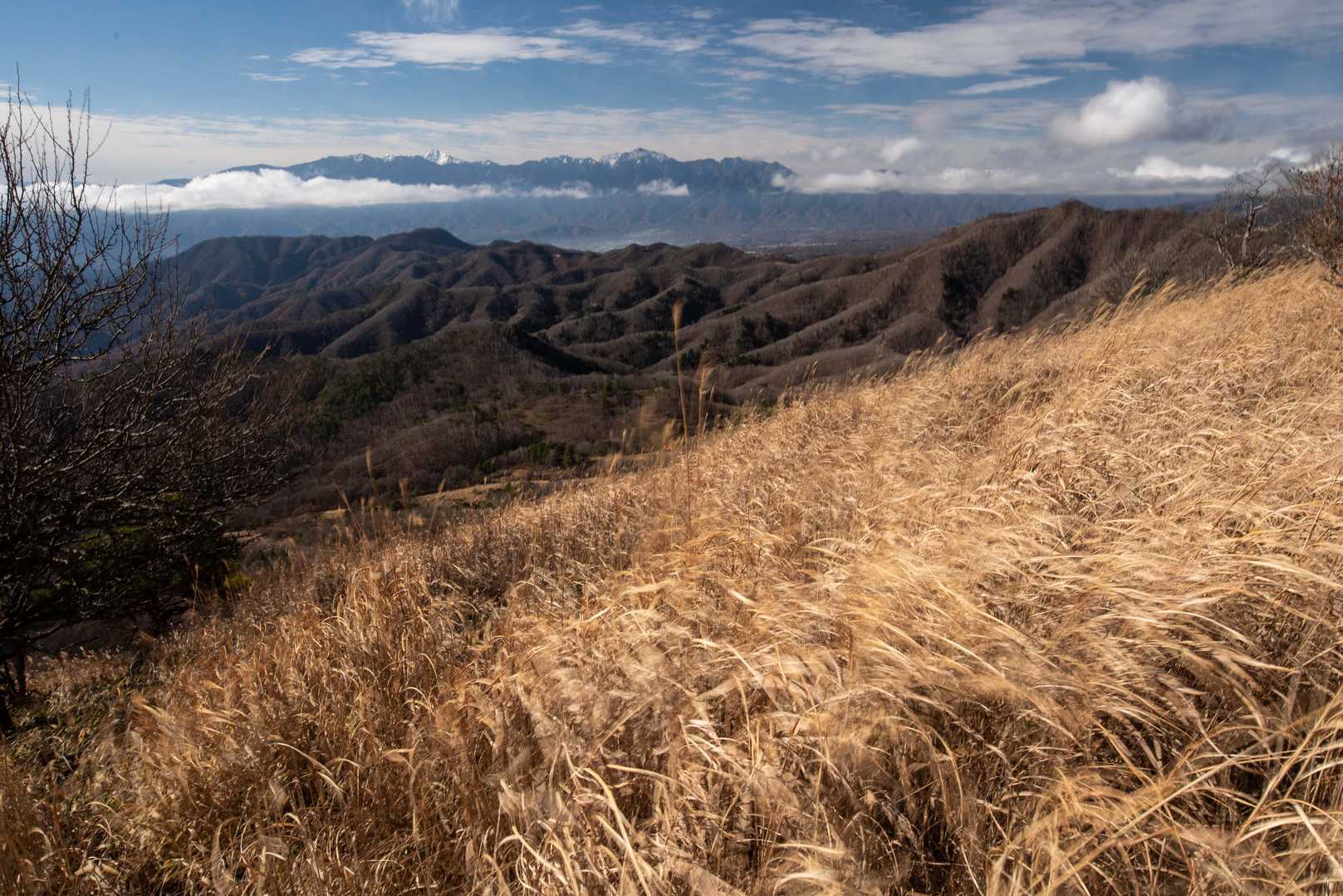 カヤトの原から赤石山脈方向、風が強い。