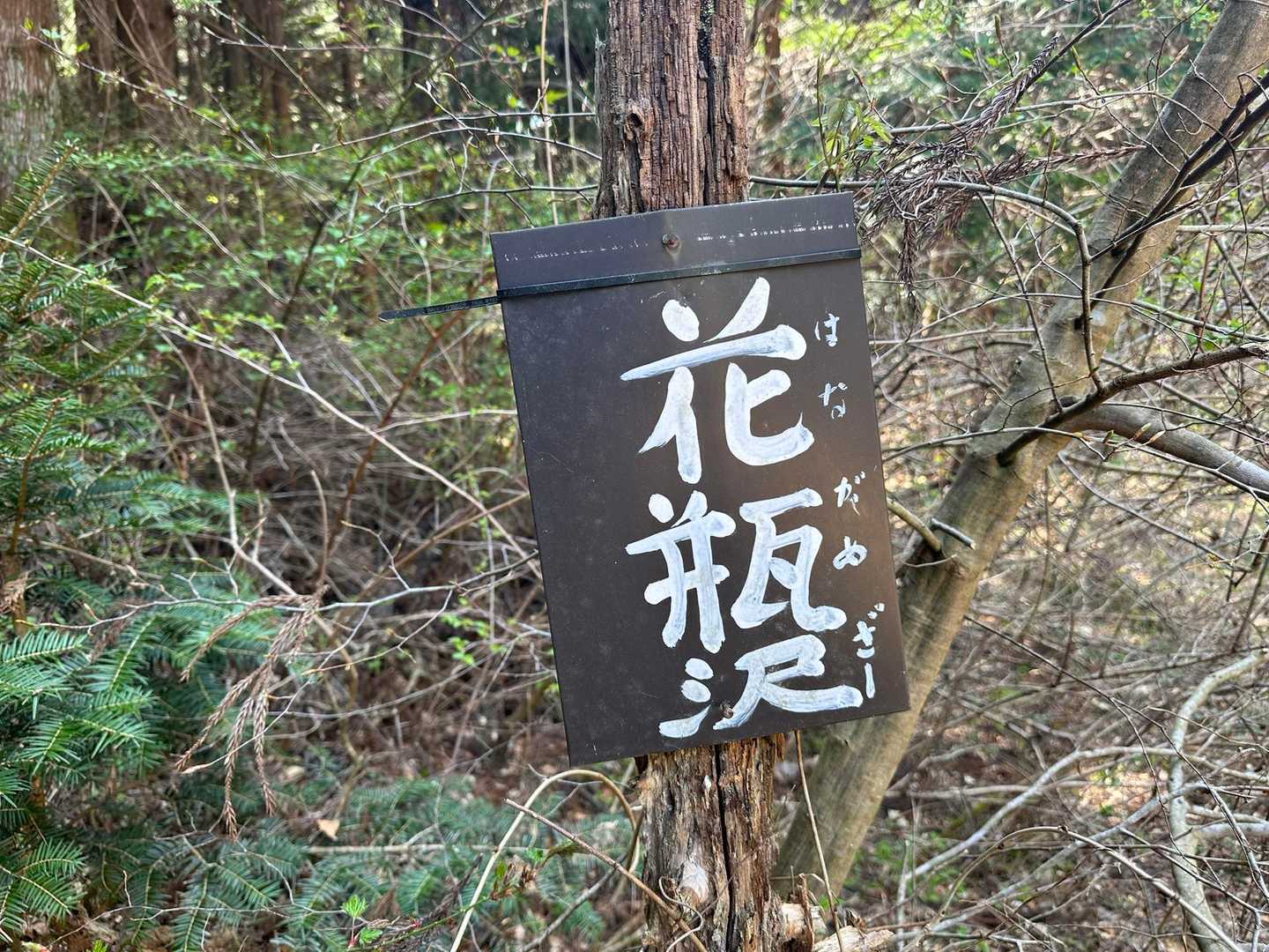 はながめざー…     ざー……     ざー………
