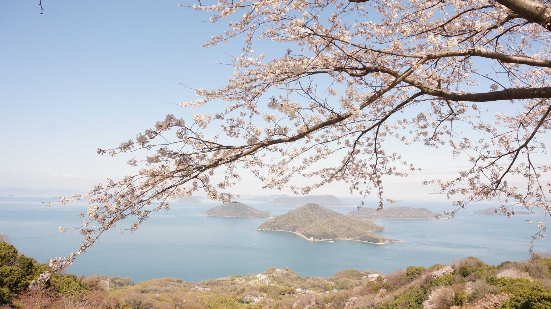 紫雲出山箱峠登山口-紫雲出山 往復コースの写真