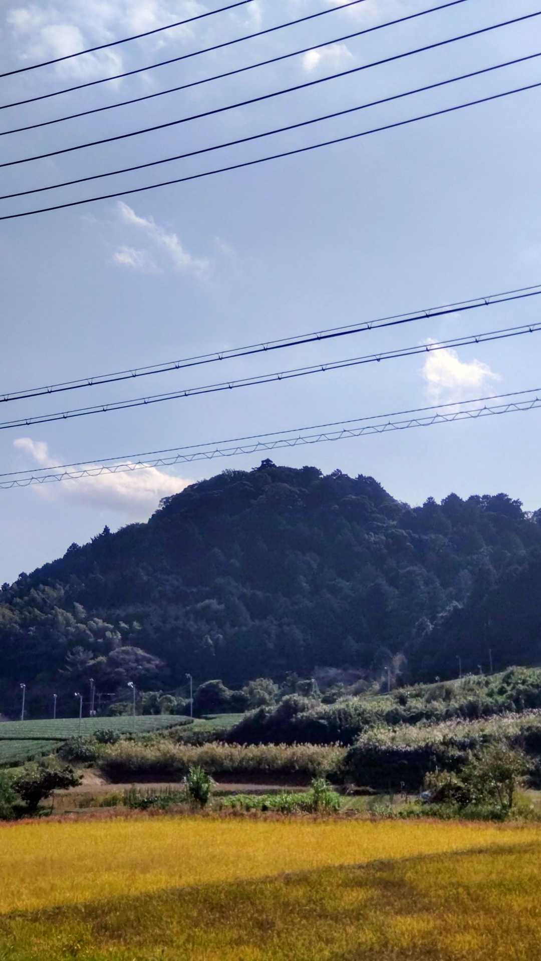 さっき登った高天神山を望む。