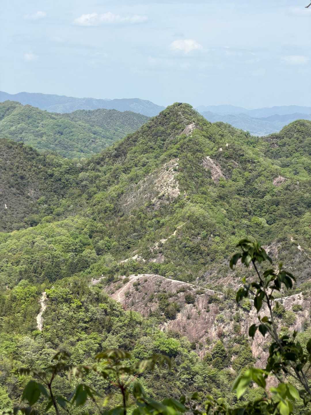 善坊山本丸登山口-善防山-笠松山-加西アルプス善坊山ハイキ 周回コースの写真