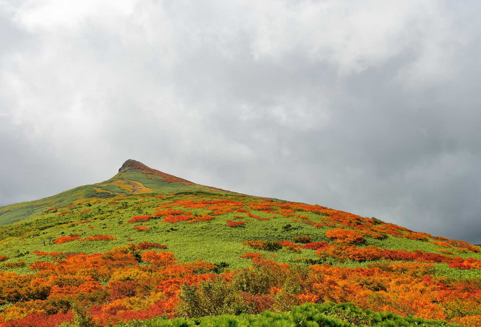 烏帽子岳（乳頭山）の写真