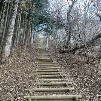 結構長い、、、