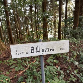 白山山頂、通り道で眺望無し。
山頂は少し開けております。