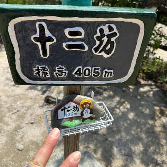 登頂
指、むくんでるな…
山歩きすると指先がむくみやすいです😓