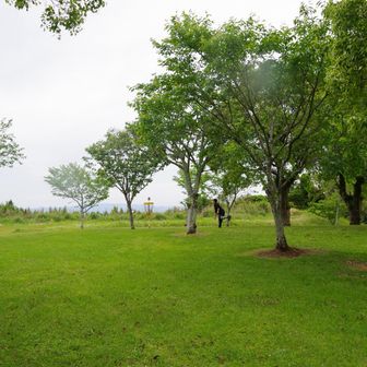 この丘が霧ヶ丘だったようです