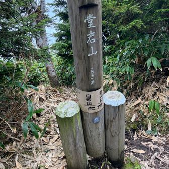 ここで一休み