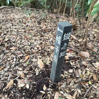 縦走路は荒れてるようで今回はやめときました。