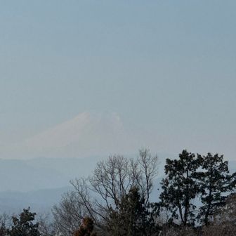 うっすら富士山見えました😂