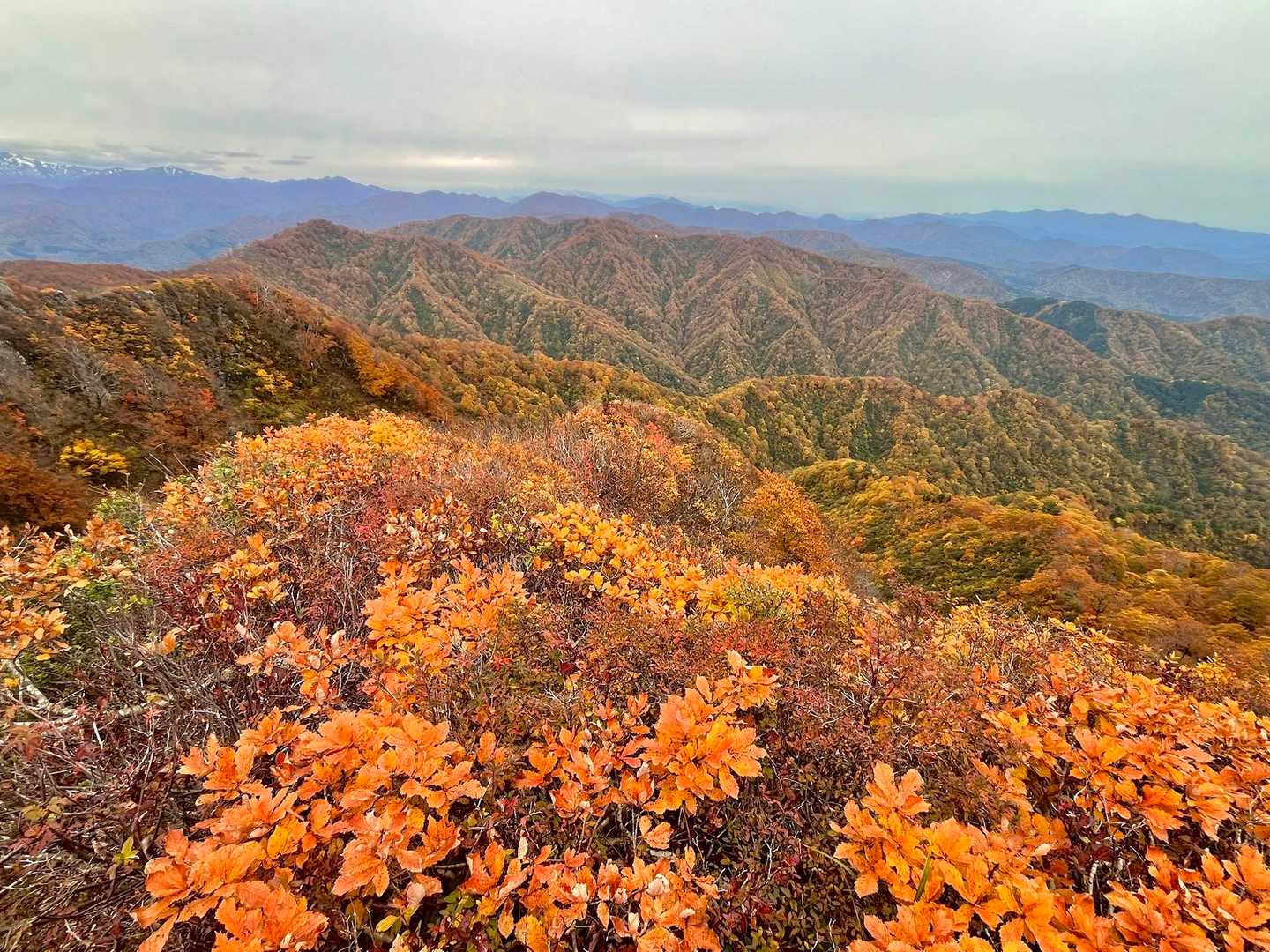 こっち側が綺麗🍁
登って良かった！！
