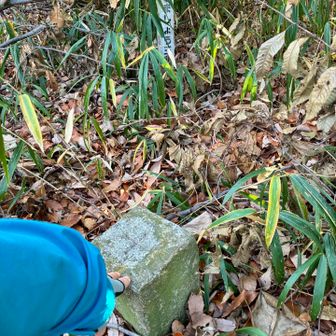 笹薮の中に、三角点。
探しました。

垂坂山　三等三角点（点名：岡山）

山名札はありませんでした。