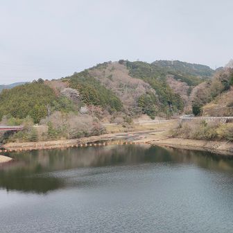ついでに雨山ダム見学
だいぶ水位下がってます