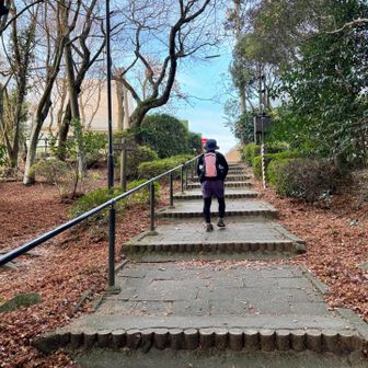 階段と車道をてくてく