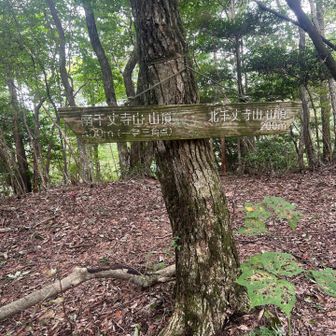 北千丈寺山には行きません