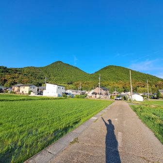 まだまだ先は長そうです(笑)
今日もありがとうございました😆