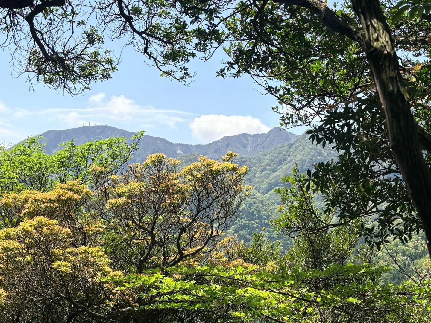 晴れてきて、隙間からの景色サイコー🙌