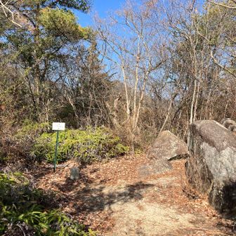 山頂には眺望はありません