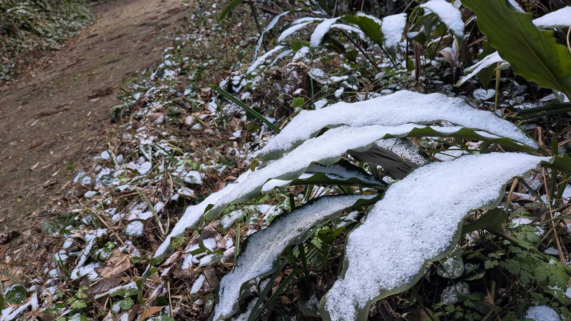 この日は寒波で、めーっちゃ寒い🥶