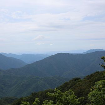 ⬆️小五郎山　　↗️大将陣・大岡山など見えているようですが・・・‼️😅