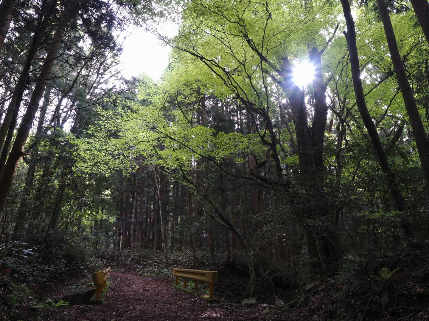 なんか好き✨
山口県には黄色いガードレールがあるのです😌