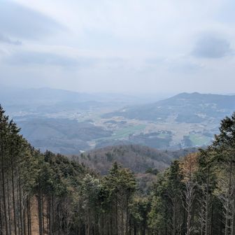 展望台からの眺め✨