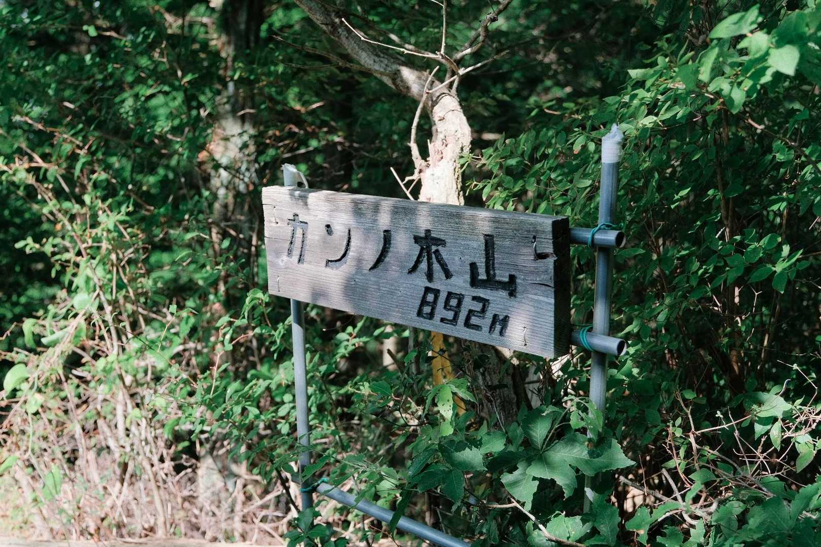 カンノ木山到着！