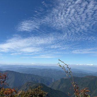 美しい。