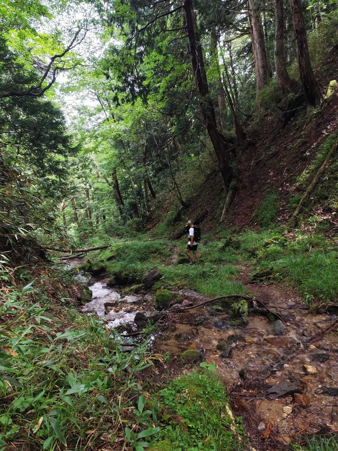 四郎岳 往復コースの写真