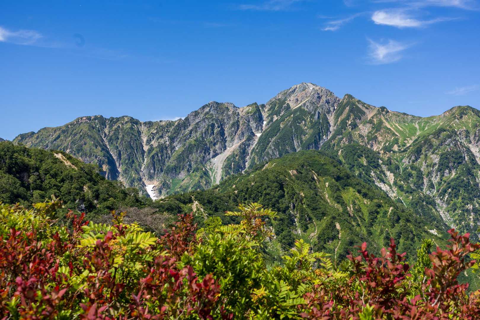 色付く木々と五竜岳