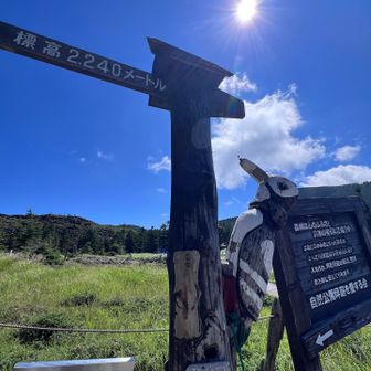 キツツキさん、行ってきまーす
よく見たら募金口⁈