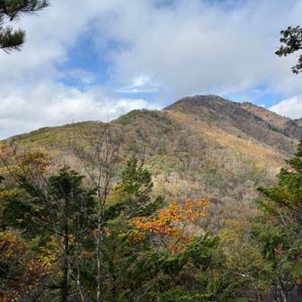 姥子山直下から雁ヶ腹摺山