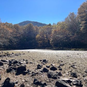 沼に水はなかったよ