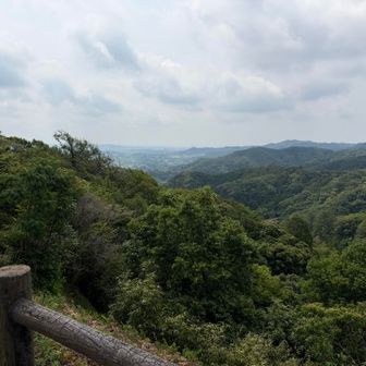 展望は良いけど景色が…
