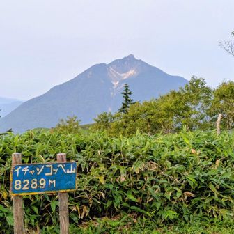 イチャンコッペ山から恵庭岳を望む。