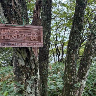 右奥に、木々の隙間から先に登った榛名富士。