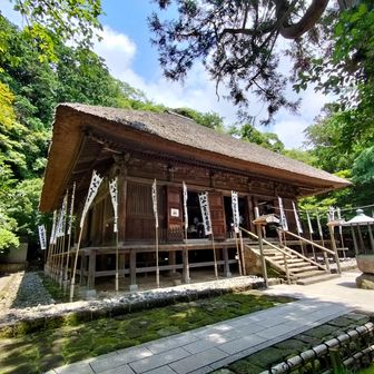茅葺屋根の杉本寺本堂