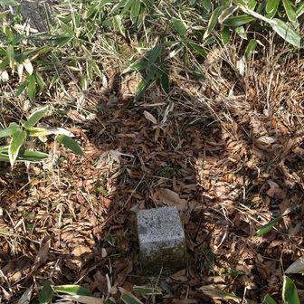 稲積山登頂！
三等三角点◬稲積◬1143.27m
濡れた三角点に手拭い敷いて、AD(餡ﾄﾞｰﾅﾂ)休憩♪♪♪
1.Livin' On A Prayer/ボン・ジョヴィ
2.Shout 2000/ディスターブト
3.Jump/ヴァン・ヘイレン