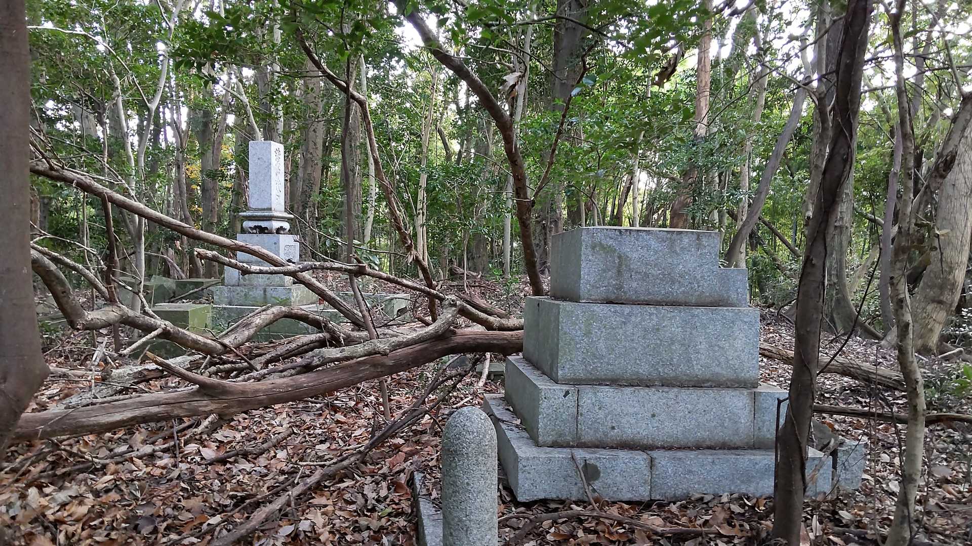 天満宮から左へ少し進み、裏山に入ると、墓地山の辻山（つじやま）に到着です！