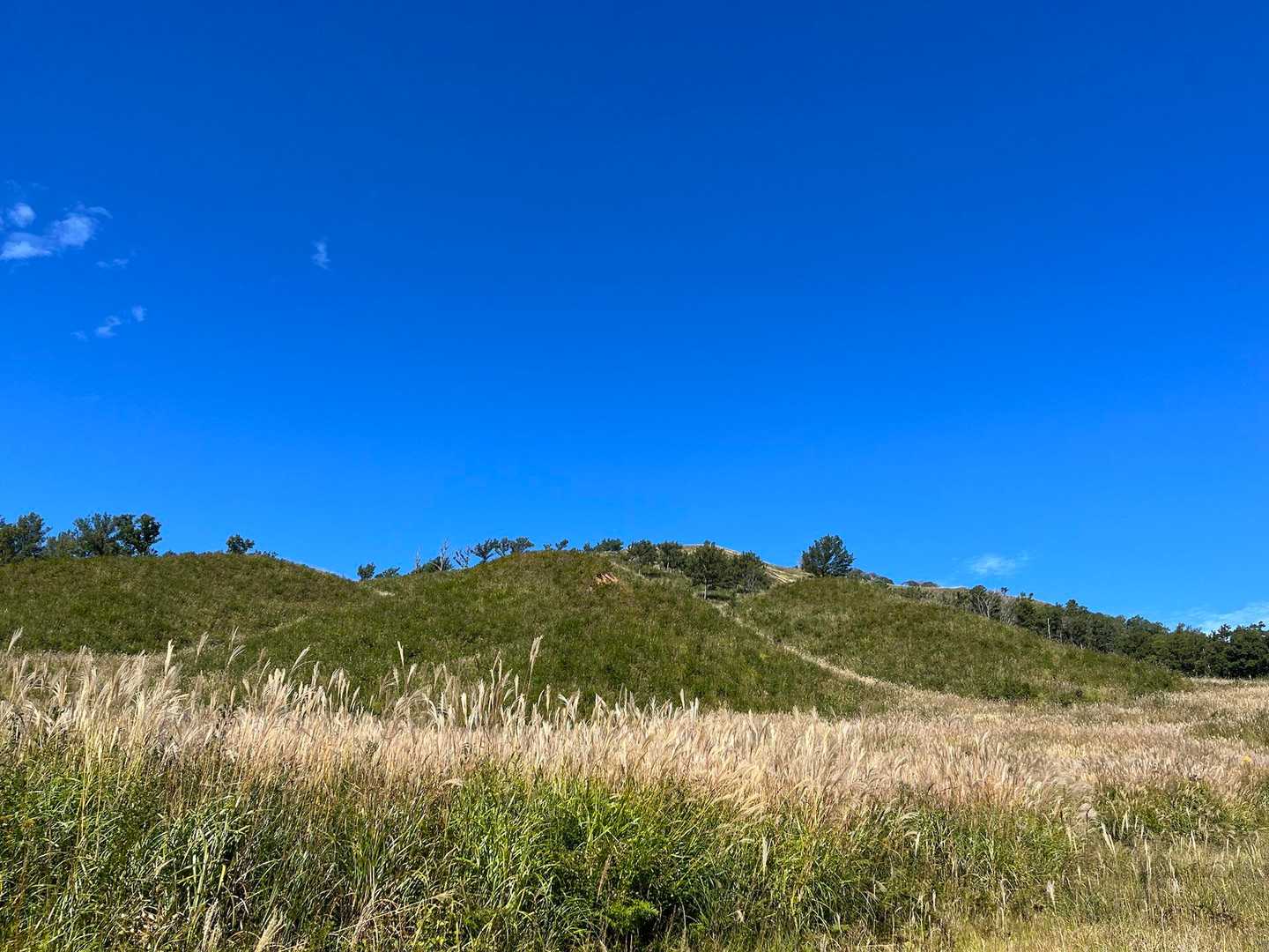 思ってたより青空