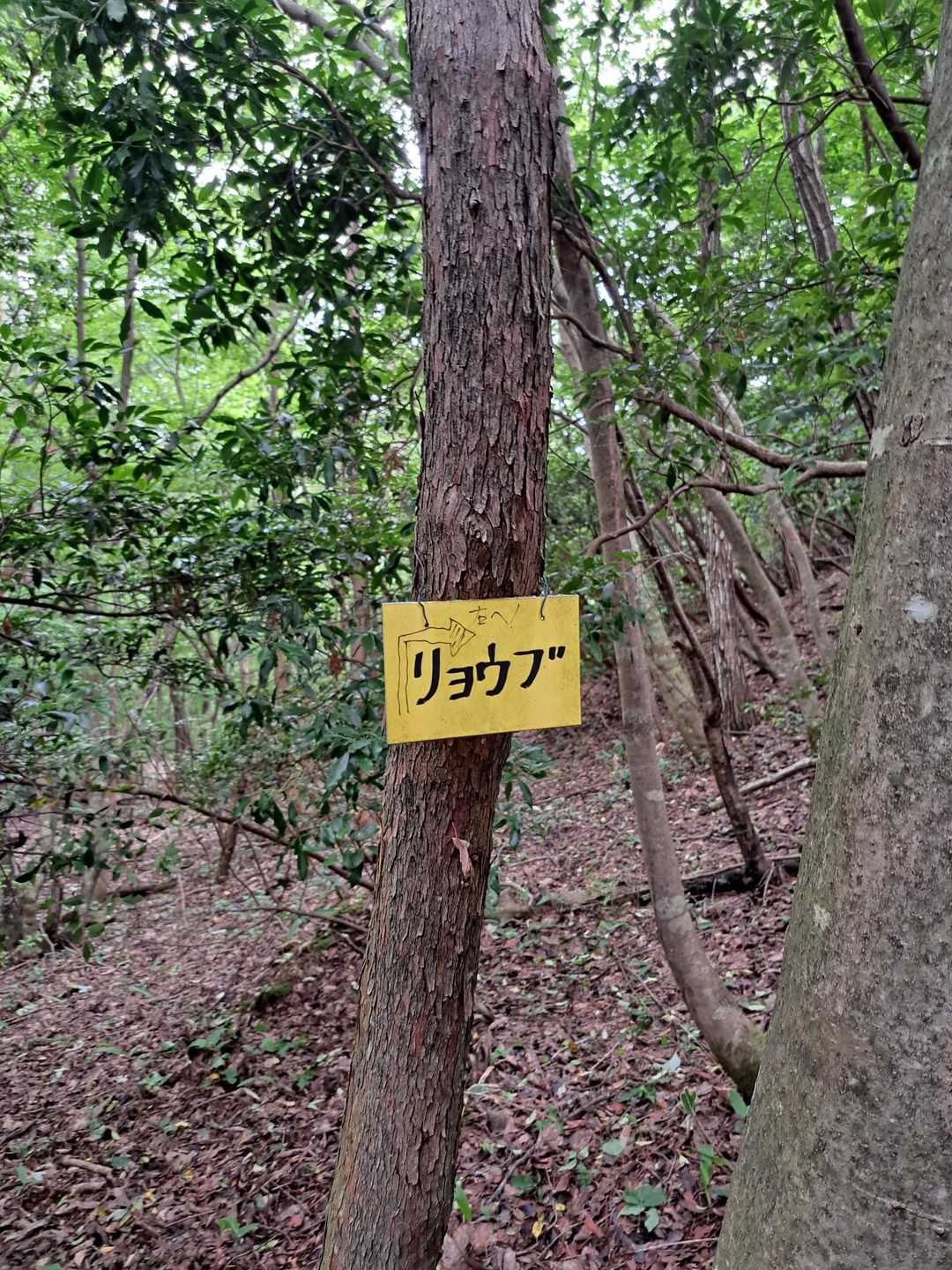 ここ道迷い場所。　リョウブの字の上に右への案内があります。