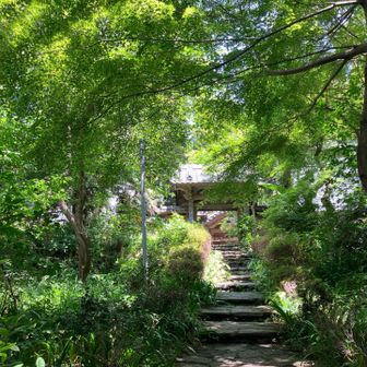 慈光寺山門