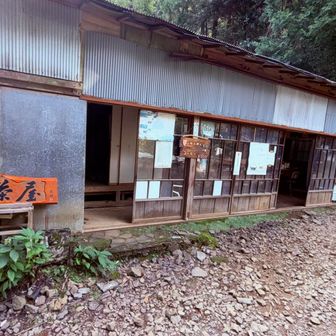 そして、観音茶屋。ここは昔牛乳プリンが名物だったんだけどなぁ•••。復活しないかなぁ•••