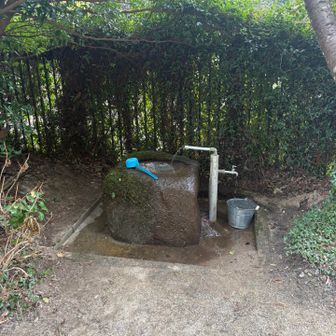 加茂神社の手水舎