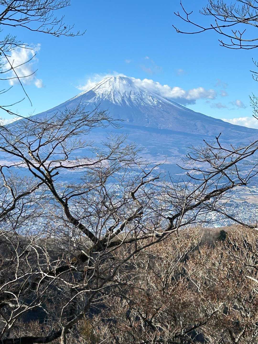 公時神社登山口-金時山-長尾山-乙女峠-姥ヶ茶屋 縦走コースの写真