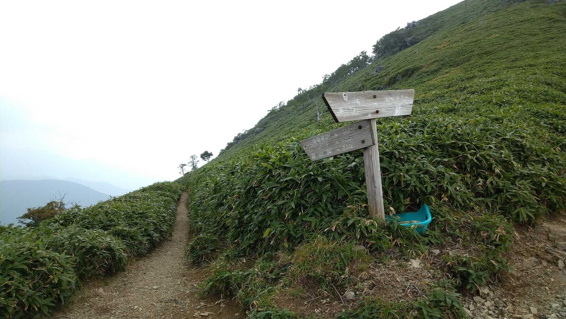 太郎さんと下山近道トラバースルートの分岐路。
迷わずトラバースルートへ🤣
