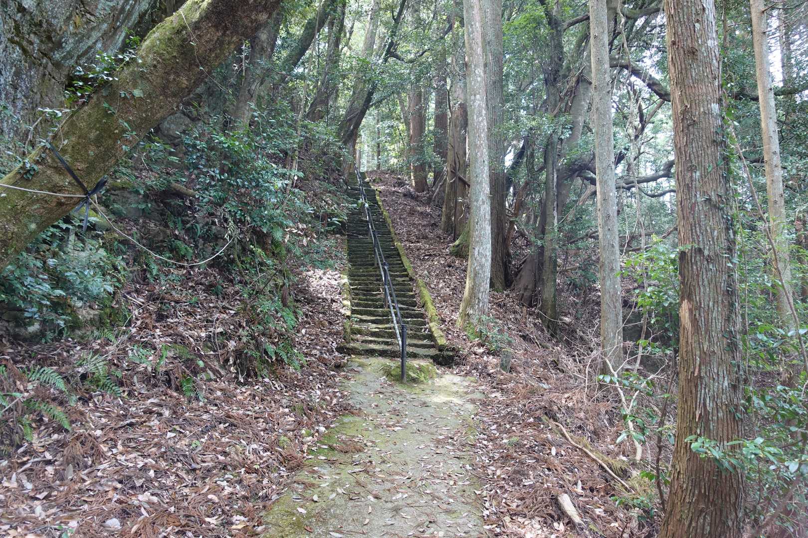 石段は大きく四回あり、全部で359段とのことです。