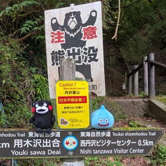 半ライス大盛り